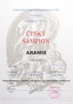 Cesky sampion pudl velky aramis