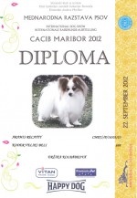 slovisko diplom aramis